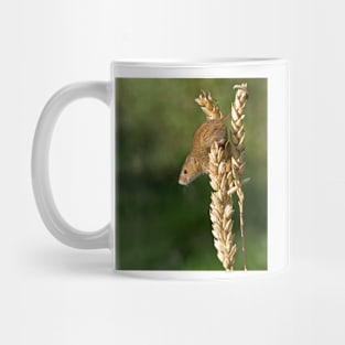 Harvest mouse on an ear of wheat Mug